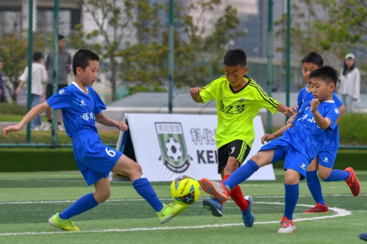 仅是对球员 仅是对球员